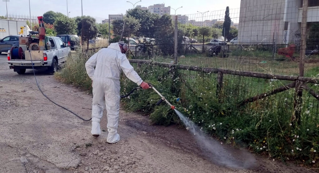 interventi di disinfestazione